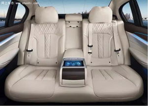 全新BMW 5系Li將于6月23日全國上市，車底防護板實現(xiàn)優(yōu)化升級